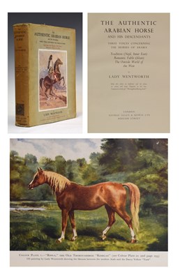 Lot 512 - Lady Wentworth - The Authentic Arabian Horse and his Descendants