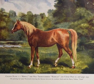 Lot 512 - Lady Wentworth - The Authentic Arabian Horse and his Descendants