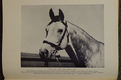 Lot 512 - Lady Wentworth - The Authentic Arabian Horse and his Descendants