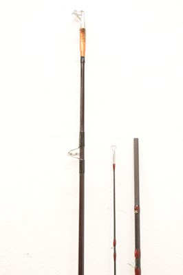 Lot 381 - Eight modern fishing rods