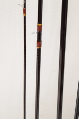 Lot 381 - Eight modern fishing rods