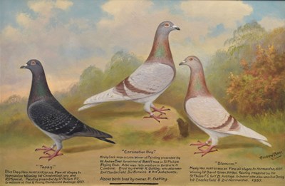 Lot 550 - Andrew Beer (1862-1954) - Oil on canvas - Triple pigeon portraits