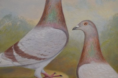 Lot 550 - Andrew Beer (1862-1954) - Oil on canvas - Triple pigeon portraits