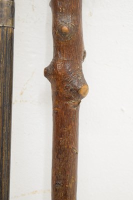 Lot 320 - Edwardian silver capped walking cane, together with four walking sticks