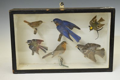 Lot 290 - Taxidermy - Early 20th century cased preserved group of six birds