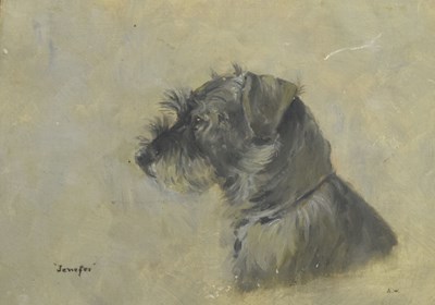 Lot 546 - Early 20th Century English School - Oil on canvas board - Jenifer, portrait of a terrier