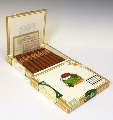 Lot 730 - Cuaba 10 Salomones Habanos cigars and Cuaba 10 Piramides Habanos cigars