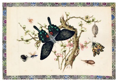 Lot 457 - Chinese School, mid 19th century - Watercolour on pith paper - Insects