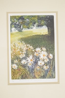 Lot 553 - Frances Shearing (b.1953) - Watercolour and two limited edition prints