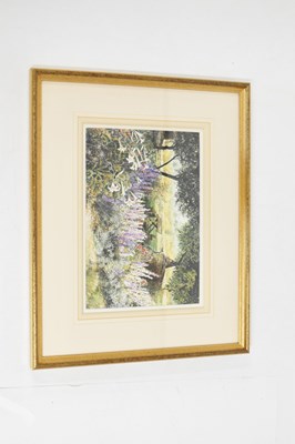 Lot 553 - Frances Shearing (b.1953) - Watercolour and two limited edition prints