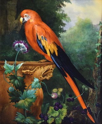 Lot 437 - Follower of Jacob Bogdani - Painted plaque - Scarlet Macaw