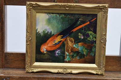 Lot 437 - Follower of Jacob Bogdani - Painted plaque - Scarlet Macaw