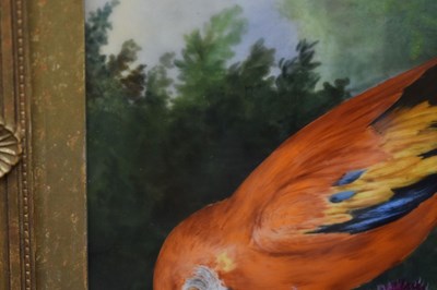 Lot 437 - Follower of Jacob Bogdani - Painted plaque - Scarlet Macaw