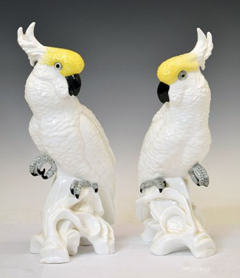 Lot 60 - Pair of Crown Staffordshire porcelain cockatoos, and two others