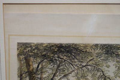 Lot 4 - Newman & Co (publisher) – View of the Avon Gorge and Clifton