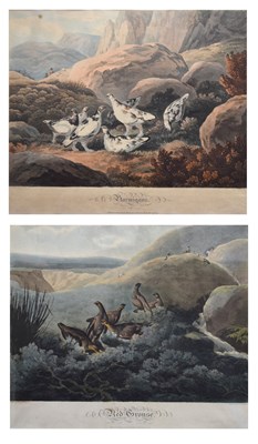 Lot 14 - After Philip Reinagle, ARA. – Two 19th century coloured aquatints