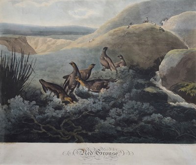 Lot 14 - After Philip Reinagle, ARA. – Two 19th century coloured aquatints