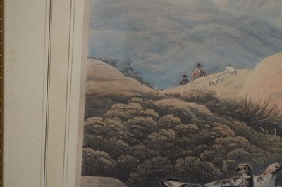 Lot 14 - After Philip Reinagle, ARA. – Two 19th century coloured aquatints