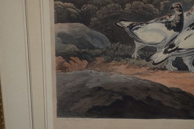 Lot 14 - After Philip Reinagle, ARA. – Two 19th century coloured aquatints