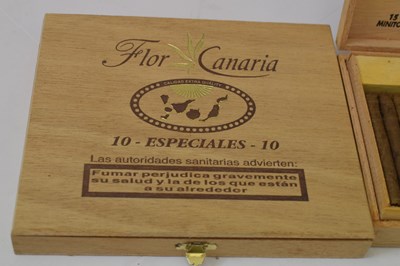 Lot 687 - Flor de Canarias - Especiales and Selection Petit's cigars