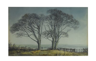 Lot 725 - Cavendish Morton (1911-2015) - Watercolour - 'Beech Trees, Mersley Down'