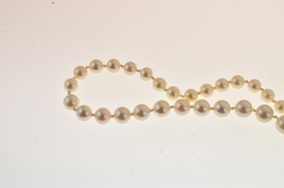 Lot 135 - Graduated row of cultured pearls
