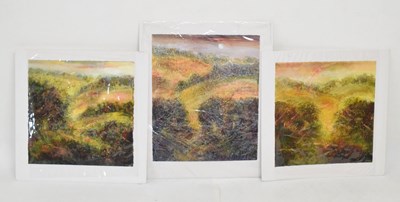 Lot 694 - Janet Rogers (b1963) – Three mixed media landscapes