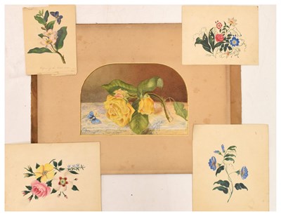 Lot 710 - Group of unframed 19th century and later flower studies