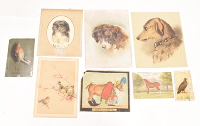 Lot 711 - Small group of unframed 19th century and later animal and bird studies