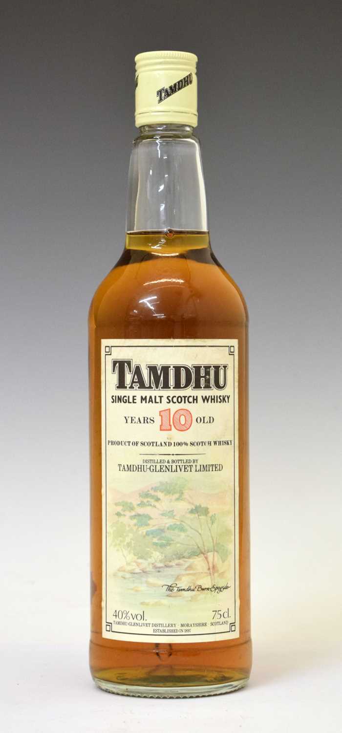 Lot 717 - Tamdhu Single Malt Scotch Whisky, aged 10 years, Morayshire