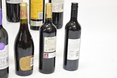 Lot 807 - Fourteen bottles of red table wine