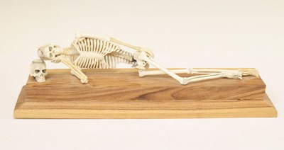 Lot 350 - Bone skeleton resting on plinth