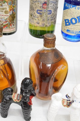 Lot 523 - Quantity of spirits to include Bols Ballerina Apricot, Remy Martin, Haig Dimple, Drambuie, etc