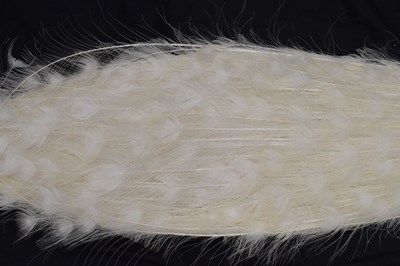 Lot 358 - Taxidermy:  White (Leucistic) peacock