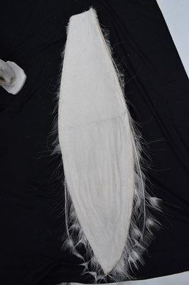 Lot 358 - Taxidermy:  White (Leucistic) peacock