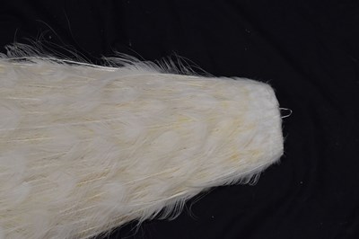 Lot 358 - Taxidermy:  White (Leucistic) peacock