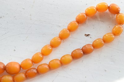 Lot 192 - Amber bead necklace