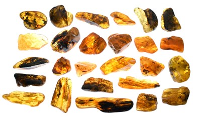 Lot 193 - Collection of amber boulders