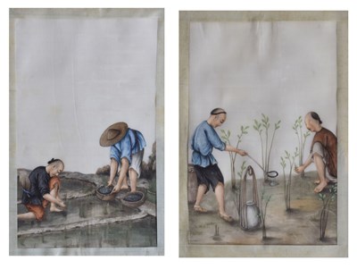 Lot 248 - Pair of 19th century Chinese watercolours on pith paper - rice farming scenes