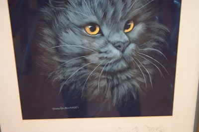 Lot 664 - David Blake (Bristol Savages) - Watercolour/Gouache - Study of a cat