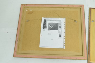 Lot 332 - Two limited edition Warner Brothers animation cels