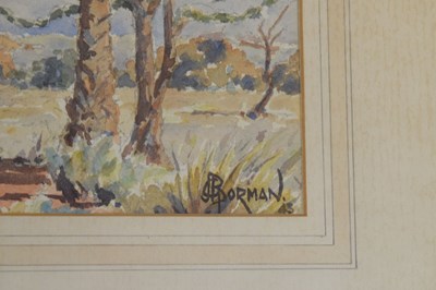 Lot 382 - Johannes G. Borman (1912 - 1981) - Watercolour - South African landscape
