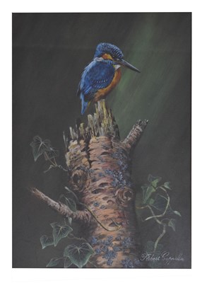 Lot 381 - Robert Coppillie (b. 1951) - Acrylic - Kingfisher