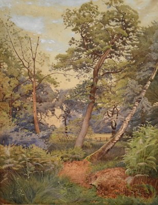 Lot 564 - William Augustus Rixon - watercolour