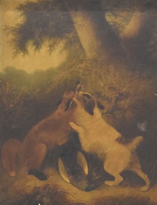 Lot 395 - Follower of George Armfield (1808-1893) - Oil on canvas - Dog & Fox fighting