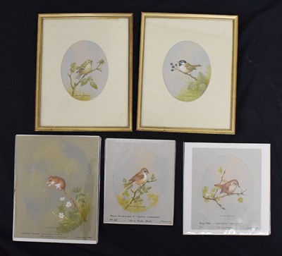 Lot 374 - David Andrews - Five watercolours - Four birds and a harvest mouse