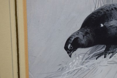 Lot 320 - Archibald Thorburn (1860-1935)  - ‘Male Black Grouse’