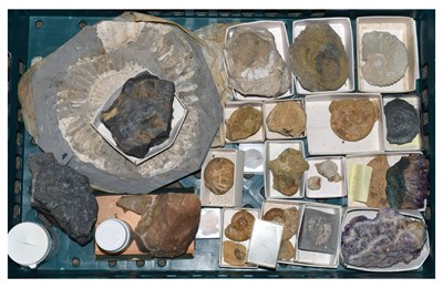 Lot 188 - Approximately twenty-five geology specimens of rocks, fossils, crystals, etc