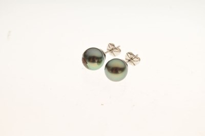 Lot 60 - Pair of tinted cultured pearl ear studs, possibly Pinctada