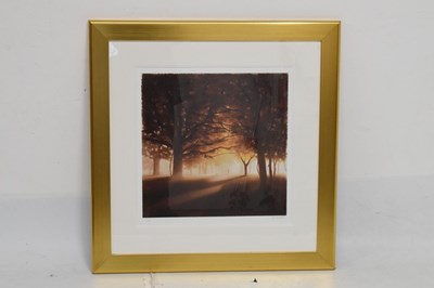 Lot 424 - John Waterhouse - Limited edition signed giclée print - 'A Walk Through The Park'